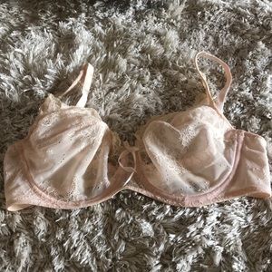 36D bra